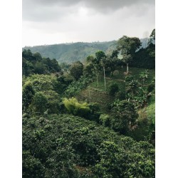 CAFEA HOTCOFFEE TANZANIA 250G