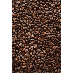 CAFEA HOTCOFFEE ESPRESSO BAR 250G CAFEA HOTCOFFEE ESPRESSO BAR 250G