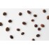 CAFEA HOTCOFFEE FANTESIA 1KG