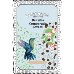 BRAZILIA Cemorrado Sweet Edition